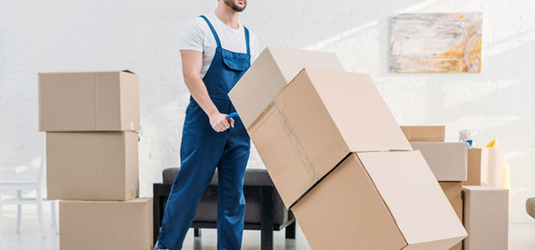 Best packers and Movers Sivakasi